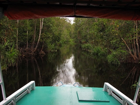 black river boat borneo